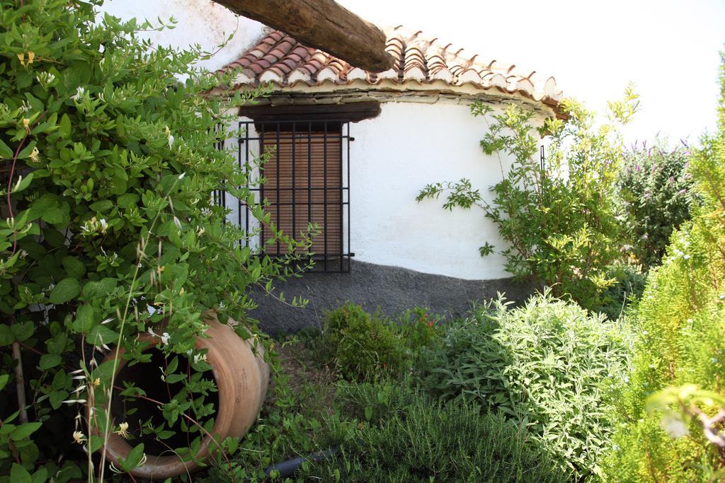Appartement Cuevas Del Zenete à Alcudia de Guadix Extérieur photo